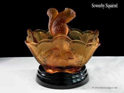 Squirrel
