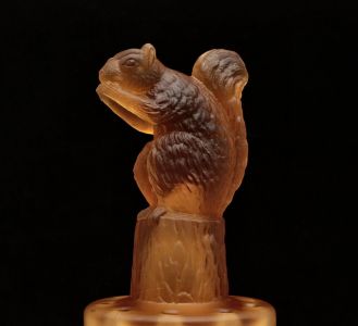 Squirrel in amber